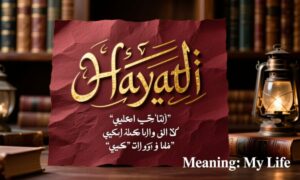 The Word Hayati Meaning in Arabic With Examples